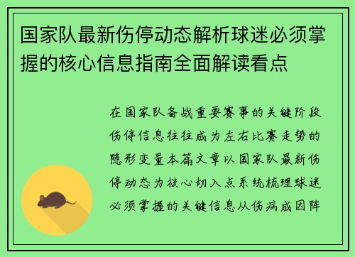 国家队最新伤停动态解析球迷必须掌握的核心信息指南全面解读看点 国家队最新伤停动态解析球迷必须掌握的核心信息指南全面解读看点